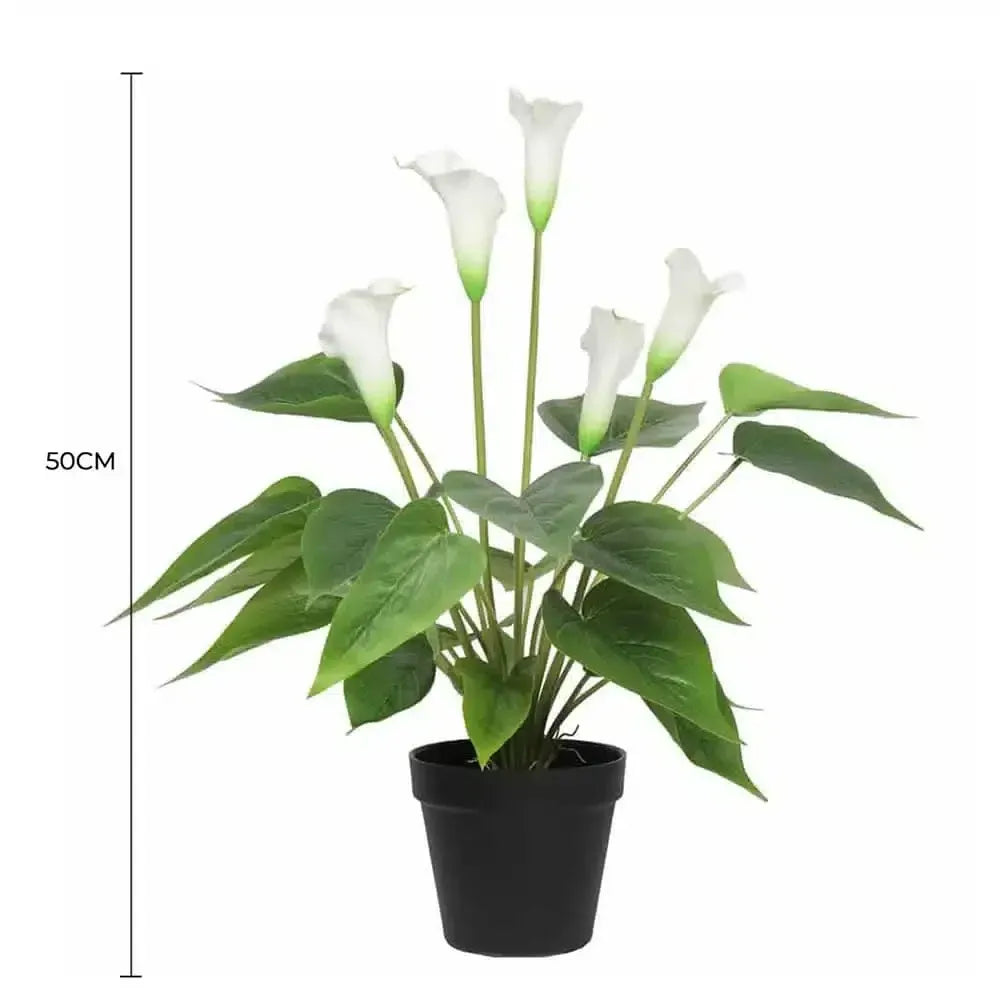 Artificial Flowering White Peace Lily Calla Lily Plant 50cm Real Touch Faux Pot