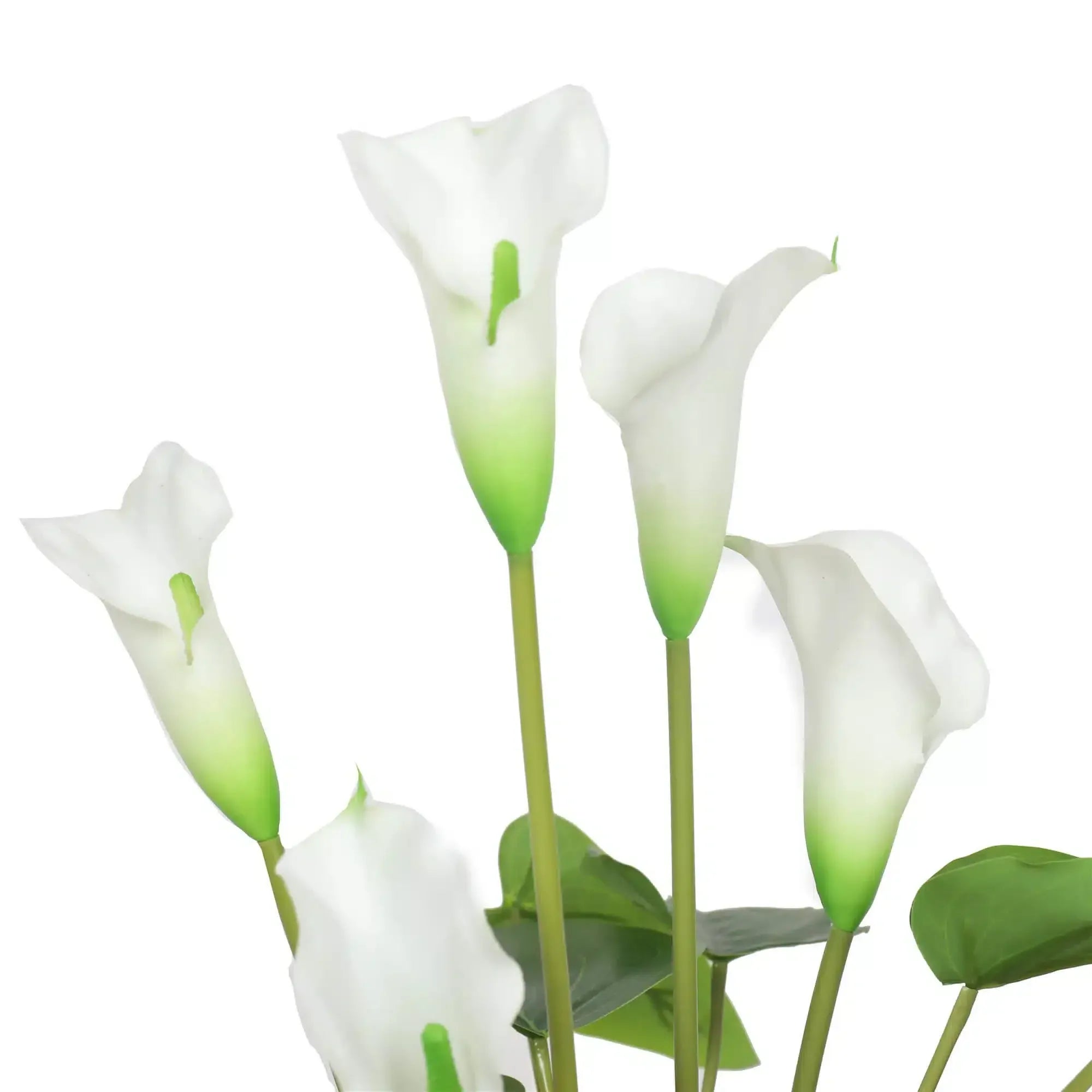 Artificial Flowering White Peace Lily Calla Lily Plant 50cm Real Touch Faux Pot