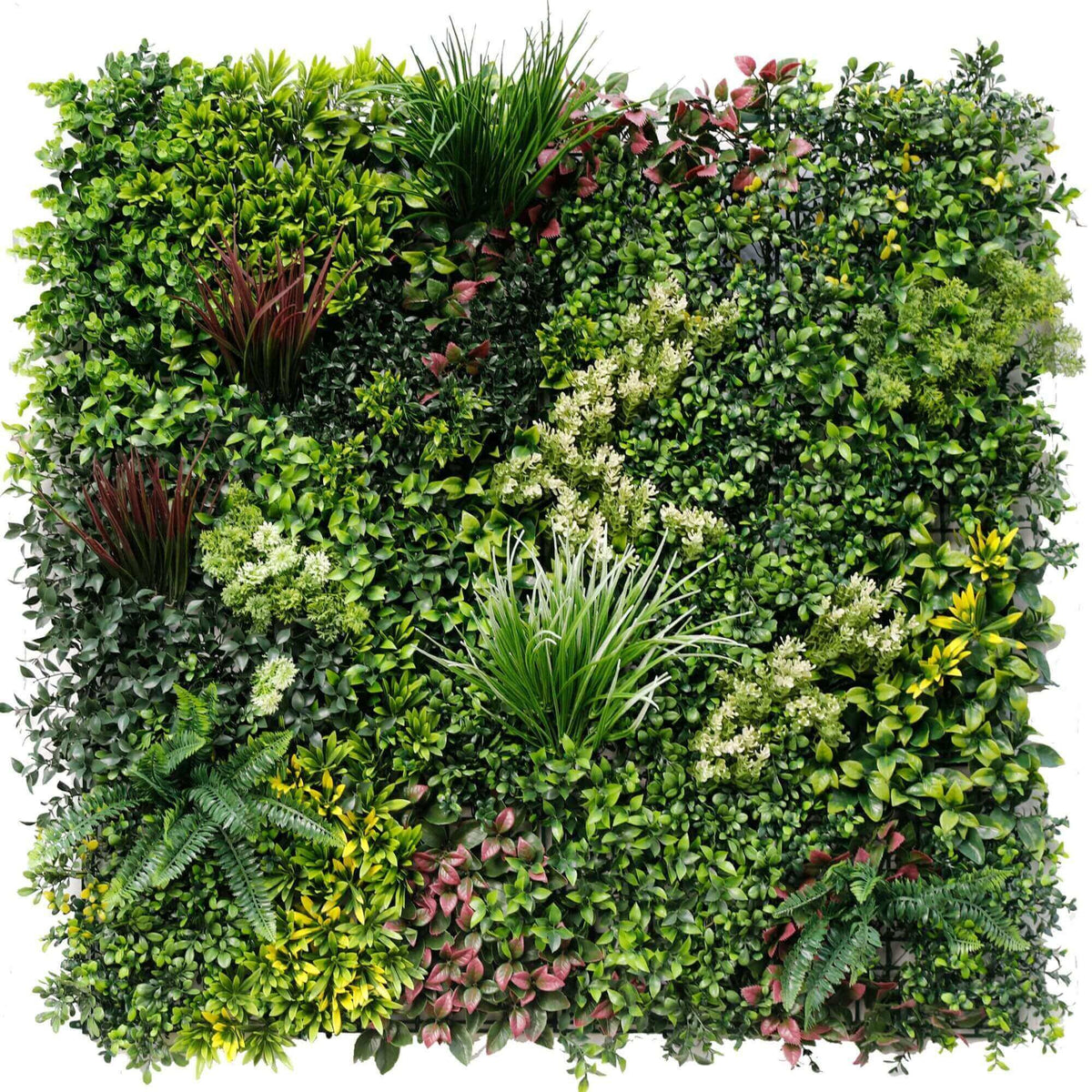 Evergreen Rainforest Vertical Garden Green Wall UV Resistant 1m x 1m Panel