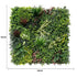 Evergreen Rainforest Vertical Garden Green Wall UV Resistant 1m x 1m Panel