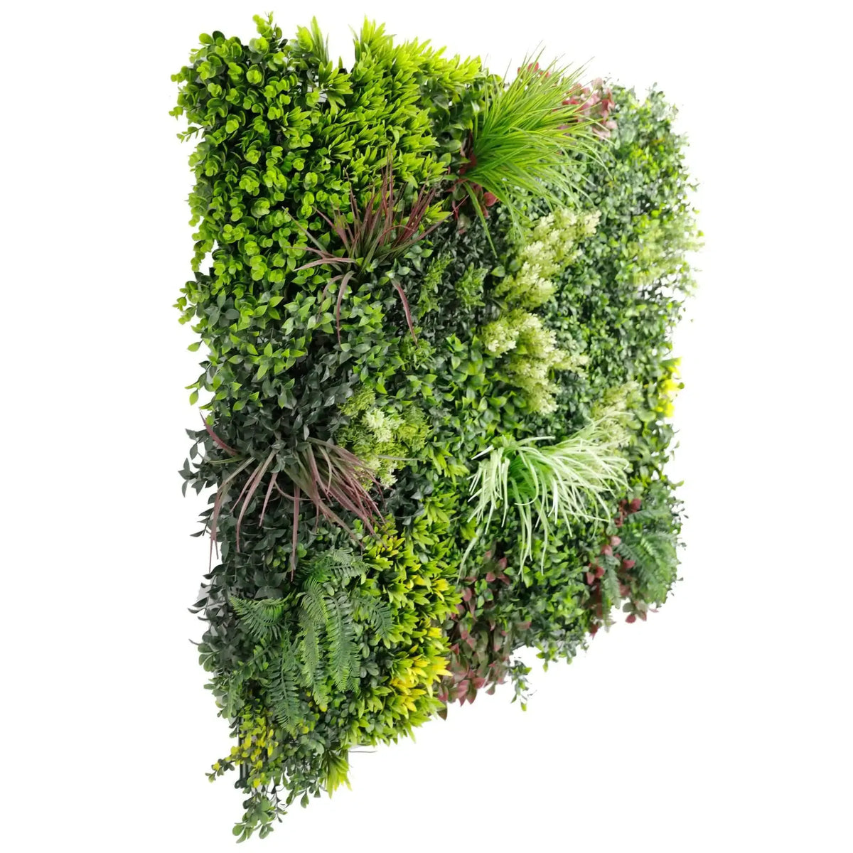 Evergreen Rainforest Vertical Garden Green Wall UV Resistant 1m x 1m Panel