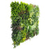 Evergreen Rainforest Vertical Garden Green Wall UV Resistant 1m x 1m Panel