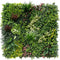 Evergreen Rainforest Vertical Garden Green Wall UV Resistant Sample Panel