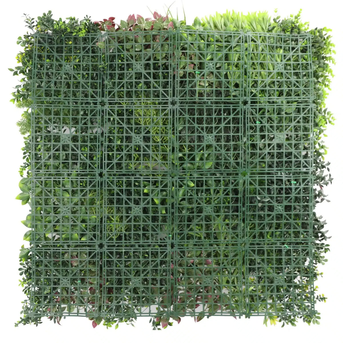 Evergreen Rainforest Vertical Garden Green Wall UV Resistant Sample Panel
