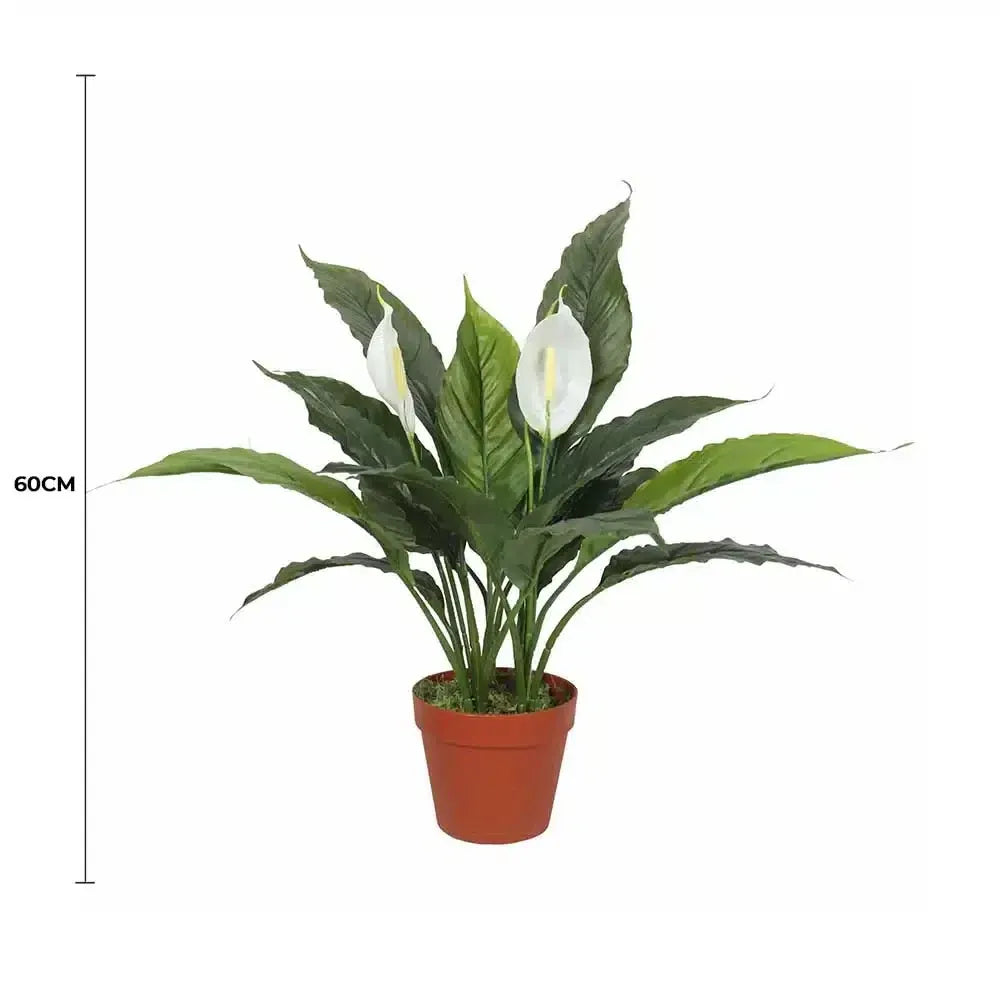 Artificial Peace Lily Plant 60cm Spathiphyllum with White Flowers & Orange Pot