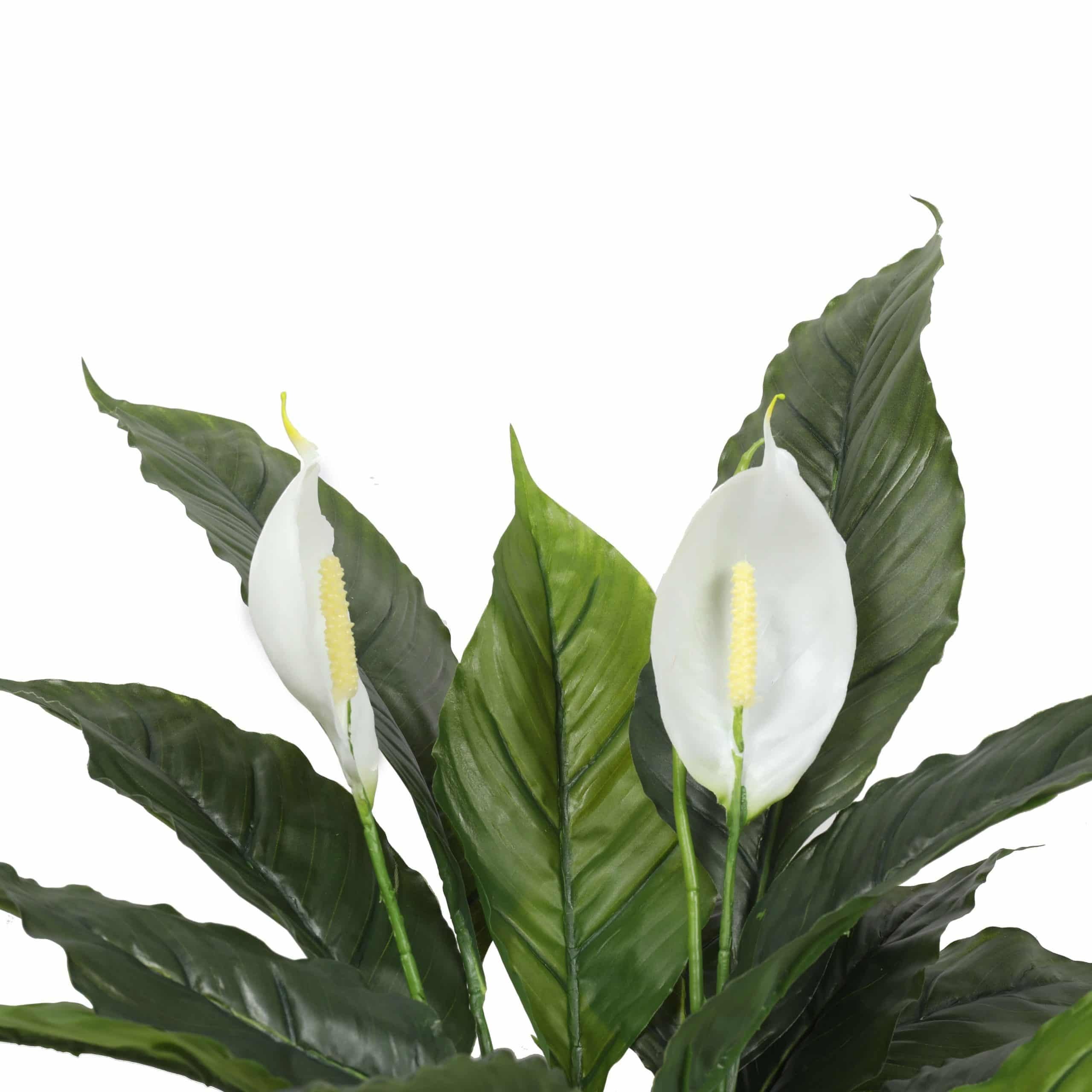 Artificial Peace Lily Plant 60cm Spathiphyllum with White Flowers & Orange Pot