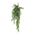 Artificial Hanging Dark Green Hanging Pearls Garland Bush UV Resistant and Fire Rated 20cm x 79cm