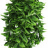 Artificial Dense Hanging Flowering Pothos Bush Vivid Green UV Resistant and Fire Rated 27cm x 72cm
