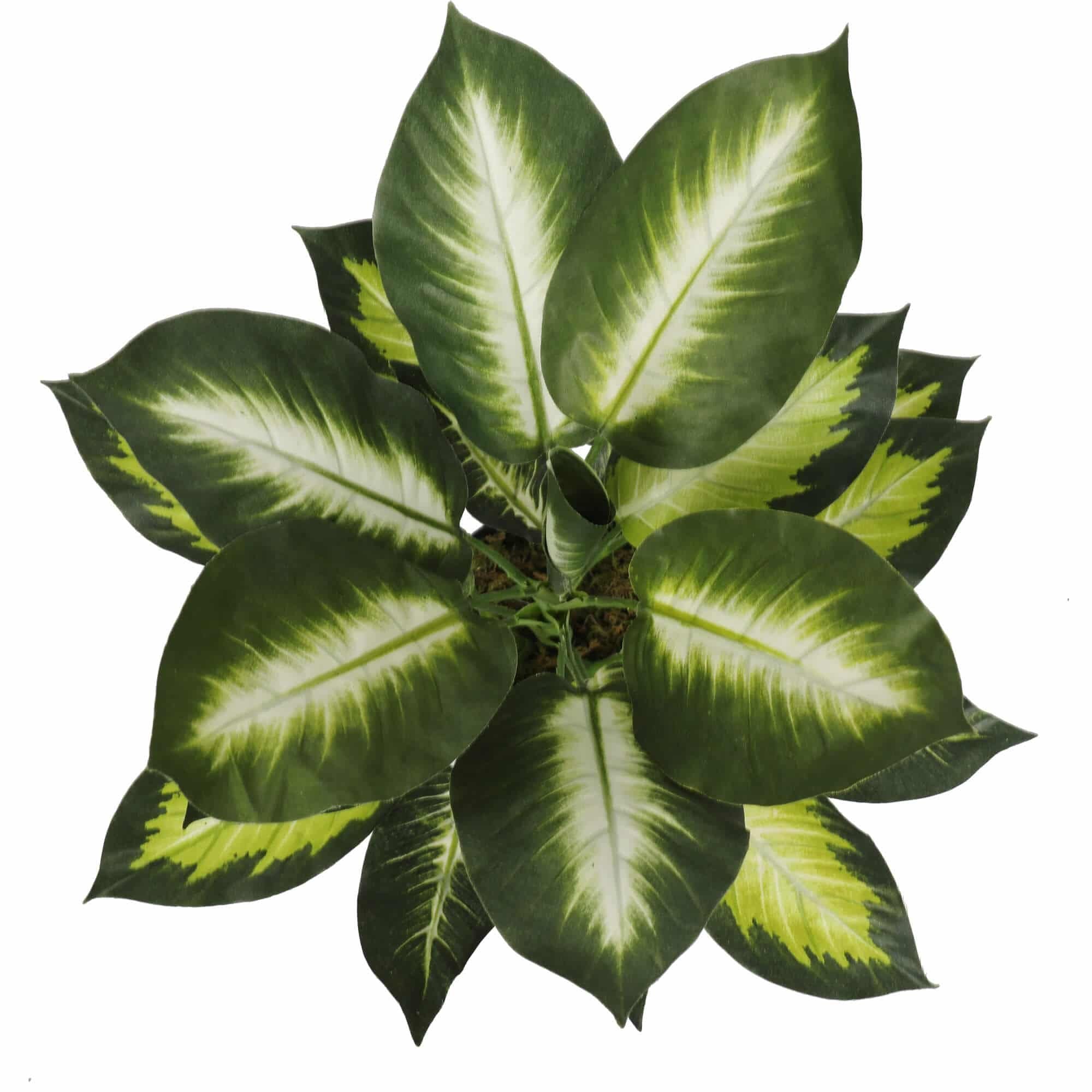 Artificial Leopard Lily Plant with Pot 40cm, Low Maintenance, 1kg Weight