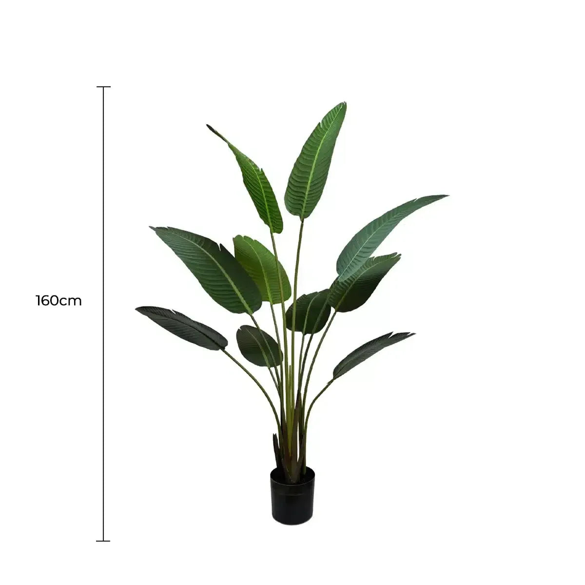 Artificial Travellers Palm Banana Palm Tree 160cm Potted Faux Tropical Plant