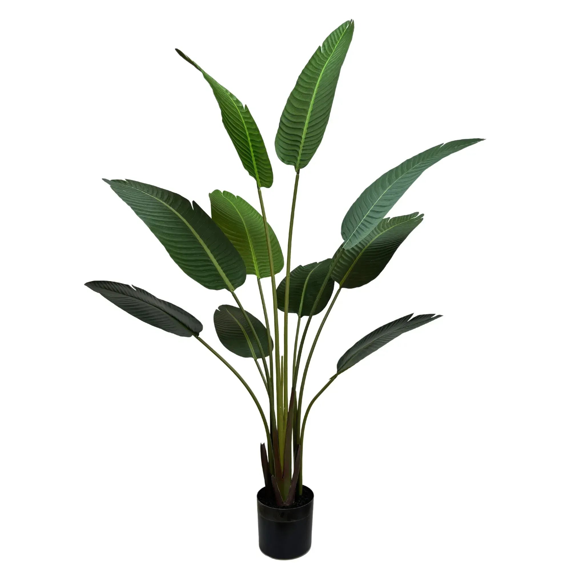 Artificial Travellers Palm Banana Palm Tree 160cm Potted Faux Tropical Plant
