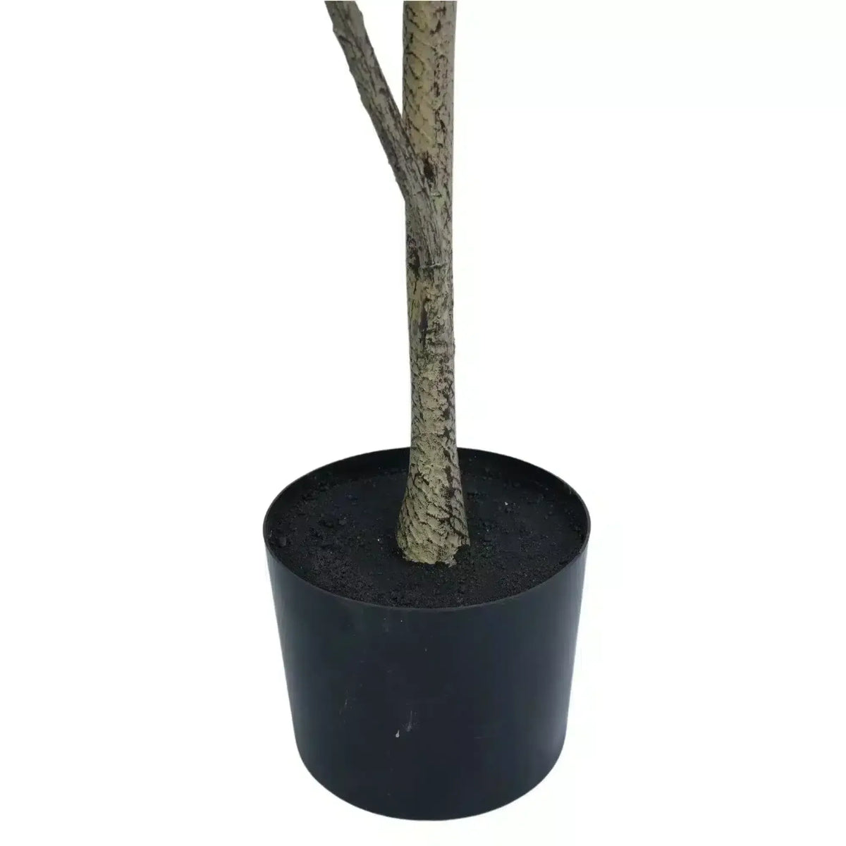 Potted Artificial Magnolia Tree 180cm, Realistic Faux Foliage, No Care