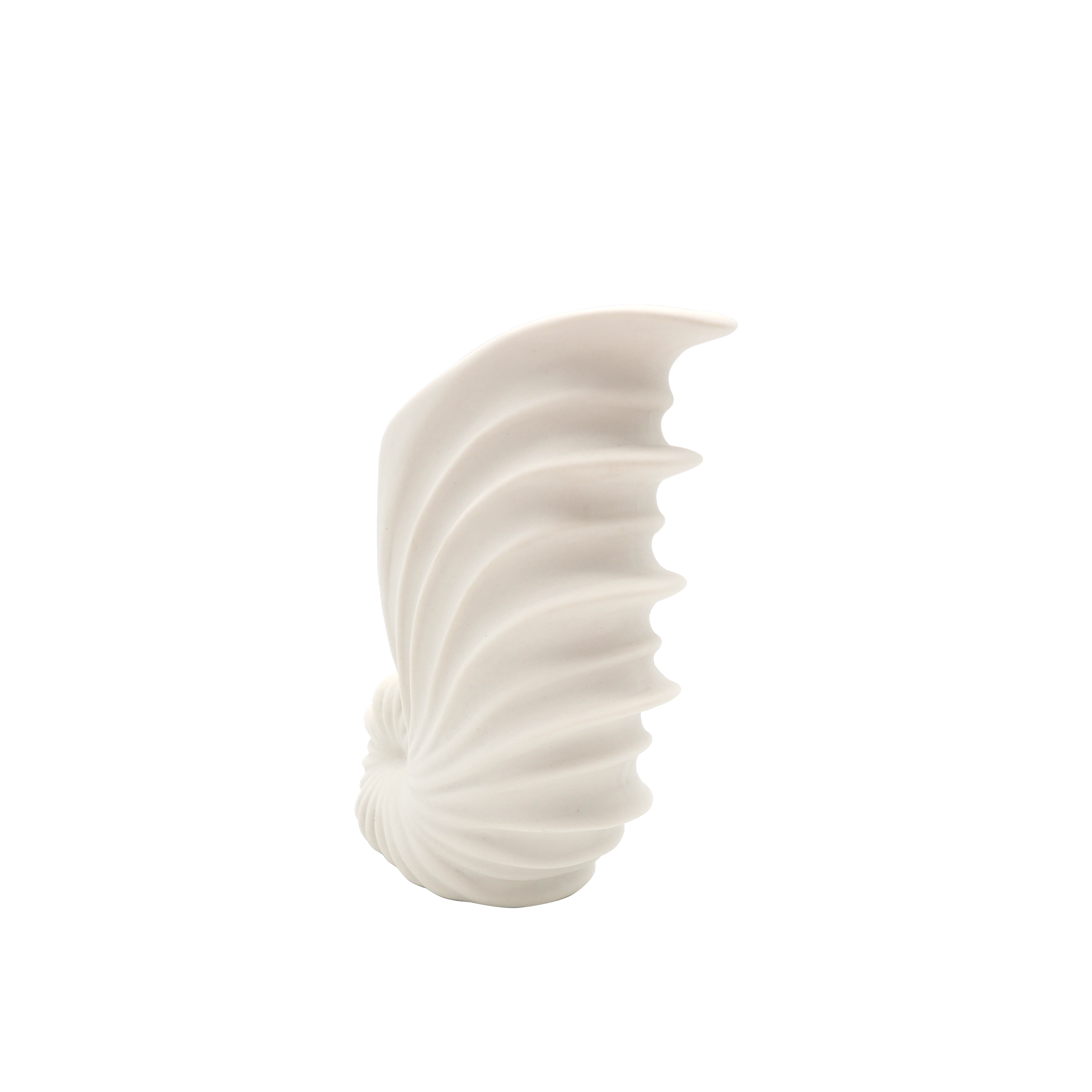 Shell White Ceramic Vase