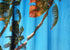 Sea View 3D Printing Blockout Curtains 2x130x160cm PINCH PLEAT Fabric Seascape