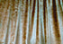 Large Thick Velvet Curtains Warp Knitted Velvet 550x230cm+30 Hooks Pinch Pleat