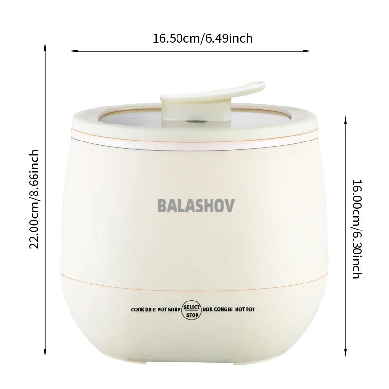 NNEOBA 1.8L Multifunctional Electric Mini Rice Cooker