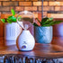 Hour Glass Eco-Friendly Nebuliser White | Waterless Aroma Diffuser | No Plastics Pure Essential Oil Diffusing