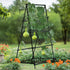 FIN Metal Garden Trellis Arch Climbing Plants Grow Support Frame with Ground Spikes