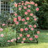 FIN Metal Garden Trellis Arch Climbing Plants Grow Support Frame with Ground Spikes