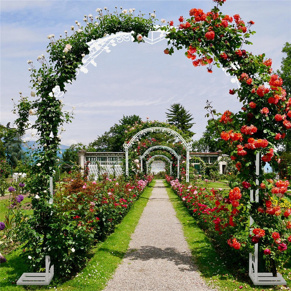 Fin Xl Decorative Double Rails Iron Arbor Garden Archway Trellis Metal Wedding Arch