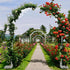 Fin Xl Decorative Double Rails Iron Arbor Garden Archway Trellis Metal Wedding Arch