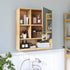 Xl Bathroom Wall Mirror Medicine Cabinet With Single Door And Adjustable Shelves