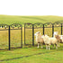 Fin Heavy Duty Dog Play Pen Enclosure Whelping Cage With Fertility Mat Puppy Playpen 60x110cm