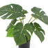 Artificial Split Philodendron 35cm – Real‑Touch Leaves in Pot, Indoor Décor