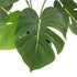 Artificial Split Philodendron 35cm – Real‑Touch Leaves in Pot, Indoor Décor