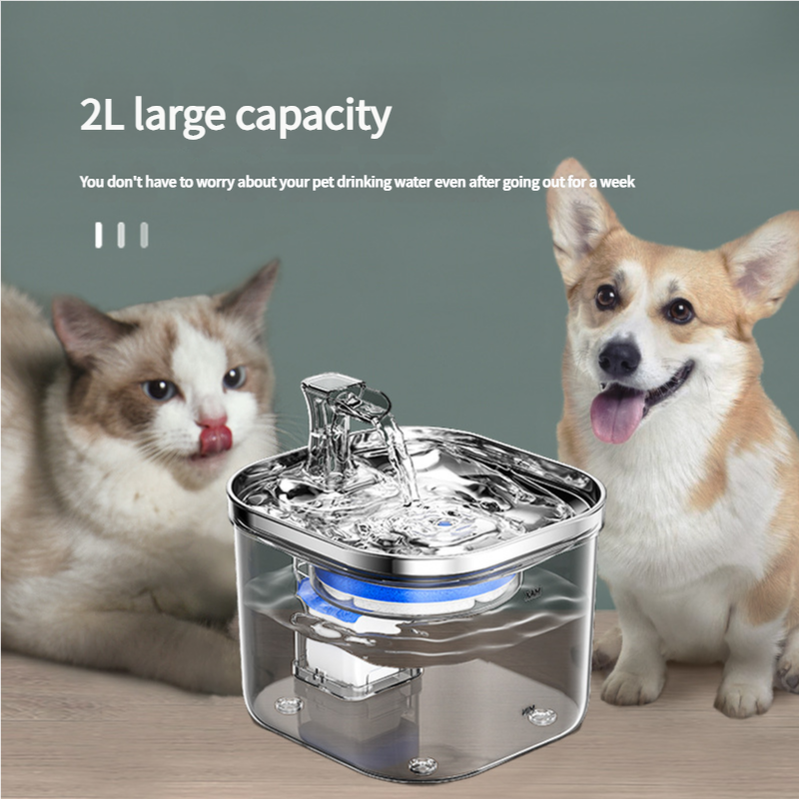 USB Powered Pet Water Fountain with Filter, Starter Kit 2L Capacity
