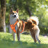 Reflective Dog Harness with Leash, No-Pull Vest Harness for Dogs, Adjustable Dog Vest with Handle, Walking Training Pet Harness M size