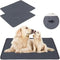 2 PCS Washable Waterproof Pet Pad-Non-Slip, Absorbent, Reusable Mat for Dogs and Cats  M70*50cm