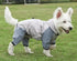 Waterproof Dog Raincoat with Hidden Leash Hole - Windproof and Comfortable for Outdoor Walks, Size:S (Back Length 20cm/7.87in, Bra 31cm/12.20in) Grey