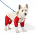 Waterproof Dog Raincoat with Hidden Leash Hole - Windproof and Comfortable for Outdoor Walks, Size:S (Back Length 20cm/7.87in, Bra 31cm/12.20in) White