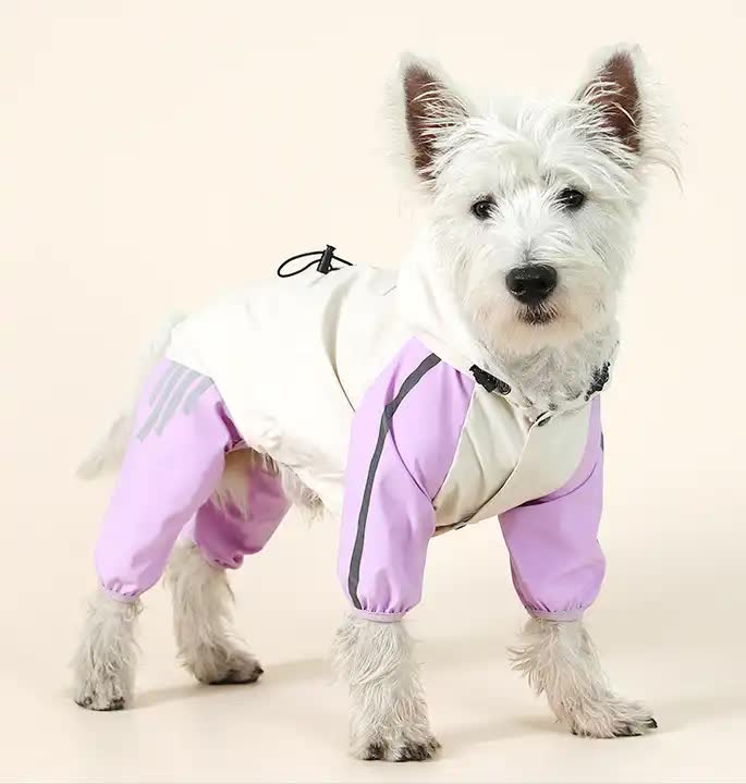 Waterproof Dog Raincoat with Hidden Leash Hole - Windproof and Comfortable for Outdoor Walks, Size:XL (Back Length 35cm/13.77in, Bra 49cm/19.29in) Purple