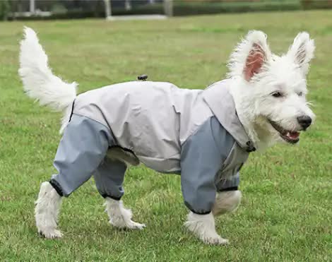 Waterproof Dog Raincoat with Hidden Leash Hole - Windproof and Comfortable for Outdoor Walks, Size:XXL (Back Length 39cm/15.35in, Bra 55cm/21.65in) Grey