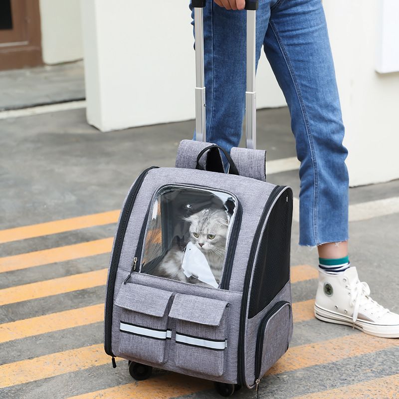 Blue 3-in-1 Pet Carrier: Rolling Backpack with Collapsible Design