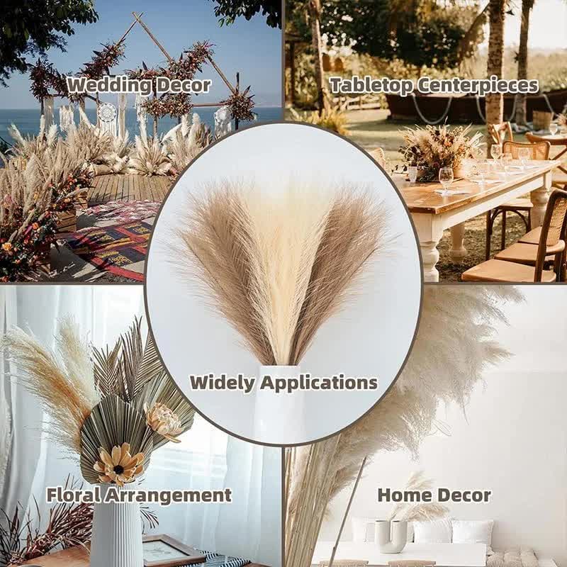 20 sticks Natural Milky white Pampas Grass Bouquet-21.65