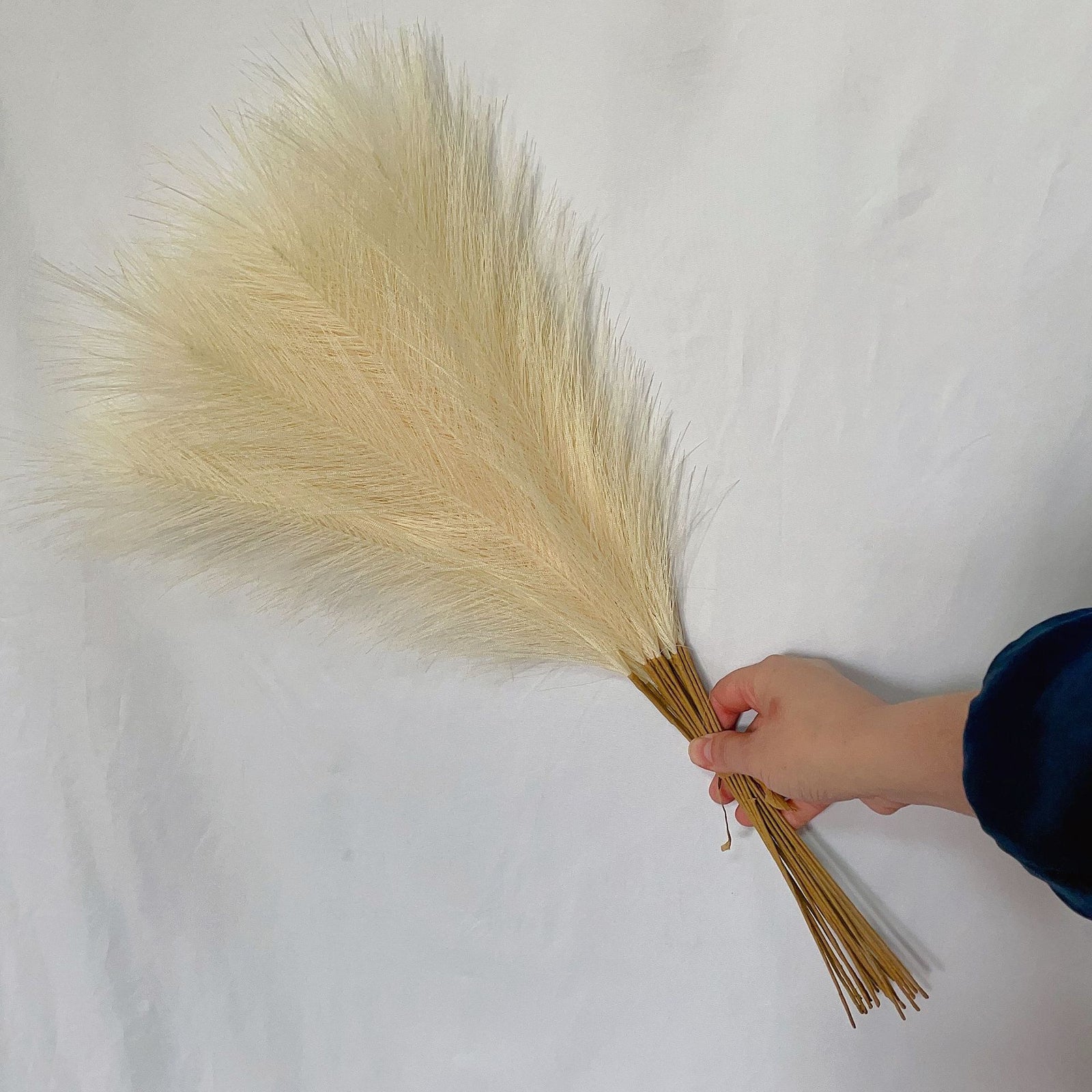 20 sticks Natural Beige Pampas Grass Bouquet-21.65