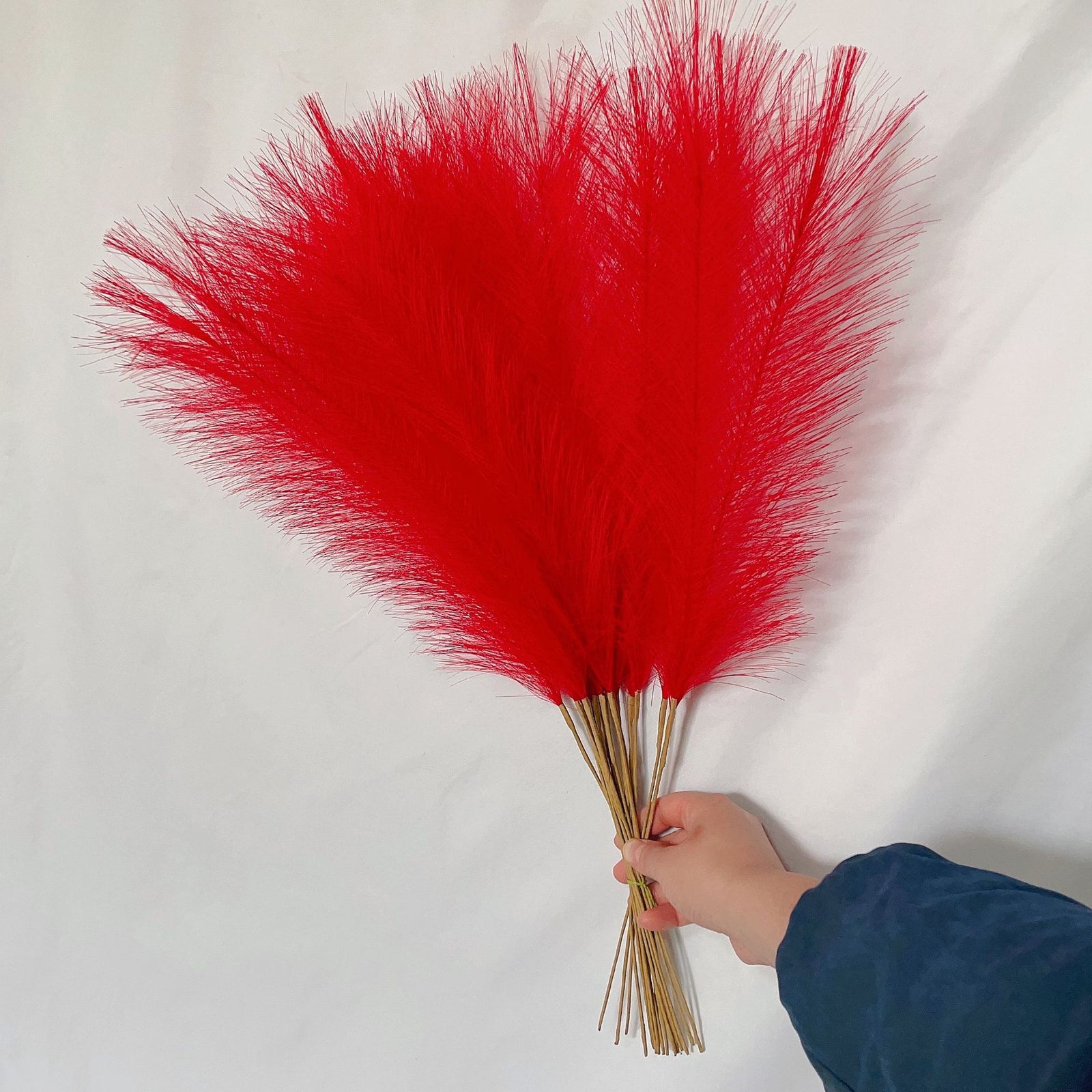 20 sticks Natural Red Pampas Grass Bouquet-21.65