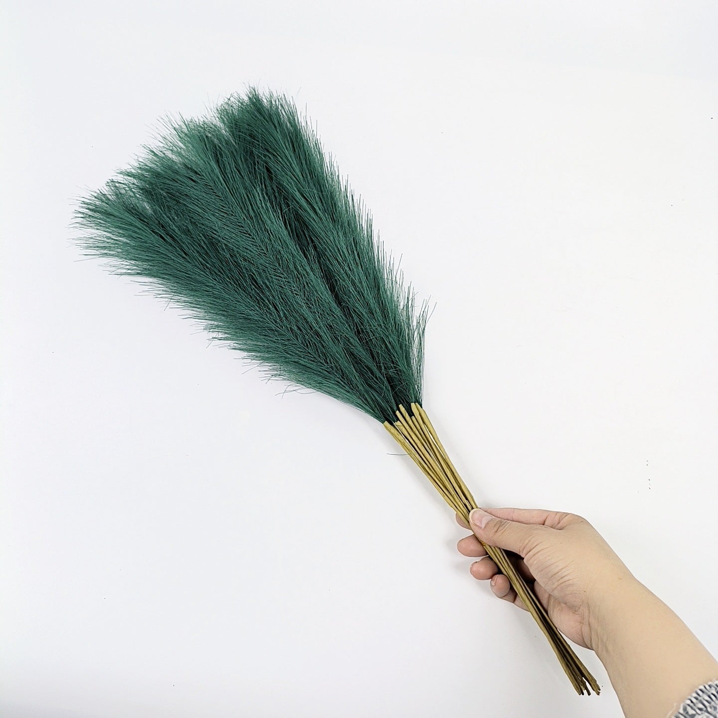 20 sticks Dark green Pampas Grass Bouquet-21.65