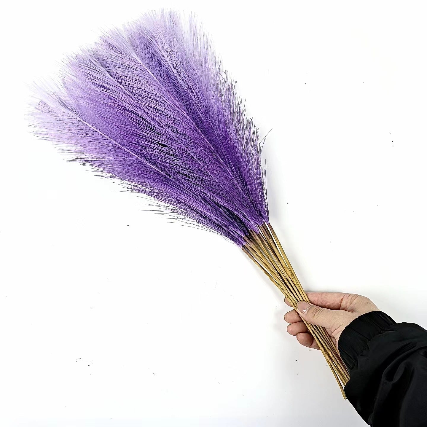 20 sticks Gradient purple Pampas Grass Bouquet-21.65