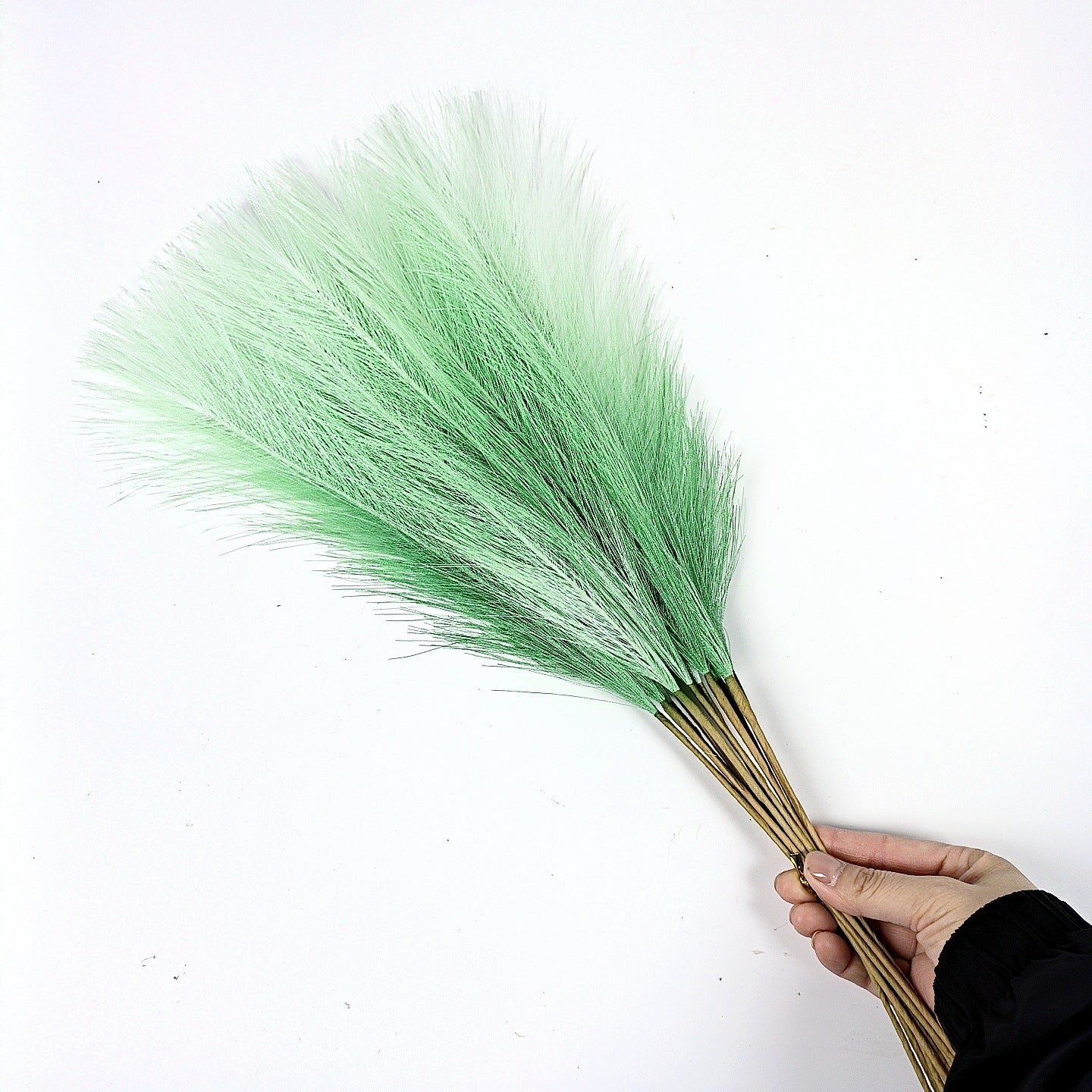 20 sticks Gradient green Pampas Grass Bouquet-21.65