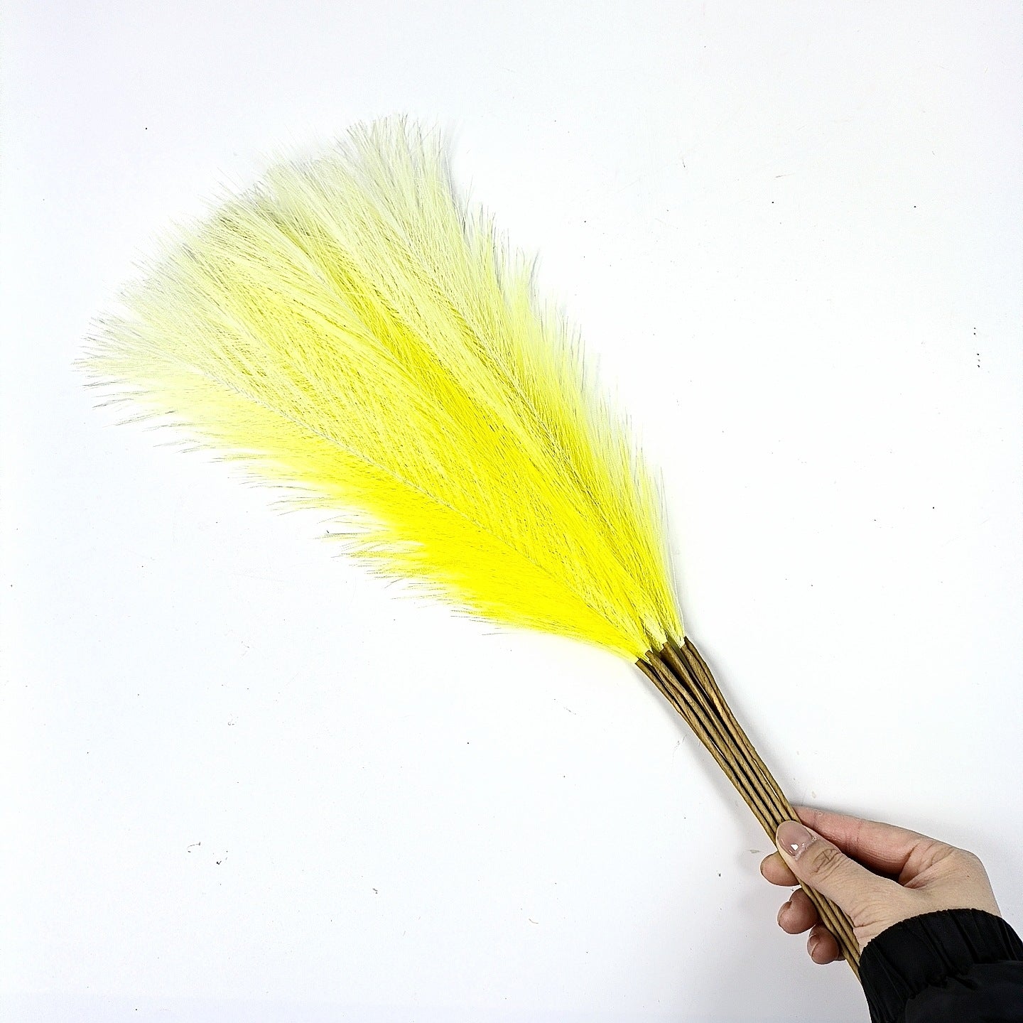 20 sticks Gradient yellow Pampas Grass Bouquet-21.65