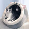 Gray Half-Enclosed Cat Bed - Soft Short Velvet Fabric with Sponge + PP Cotton Filling, M Size 35x35x30cm