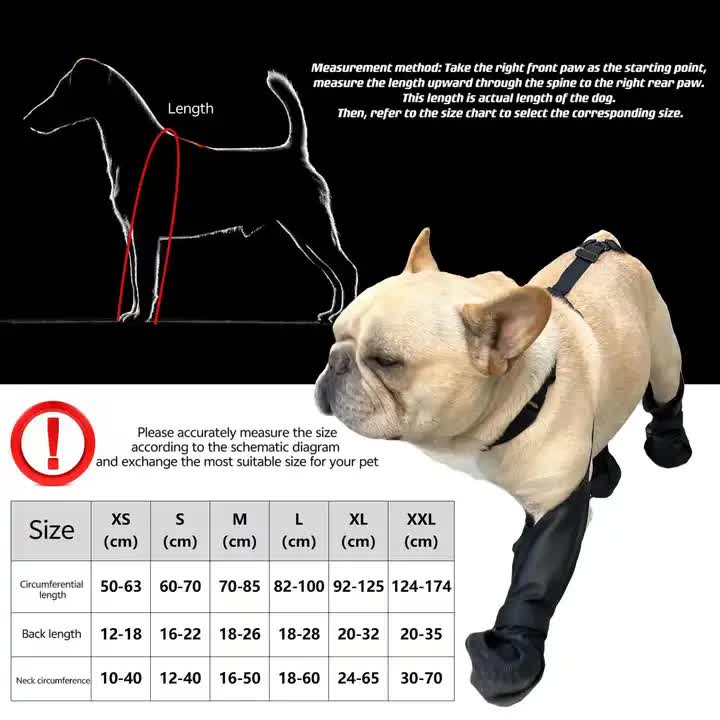 L Waterproof Non-Slip Dog Shoes â€“ All-Season Dog Boots for Protection, Anti-Slip Pet Footwear, Durable and Comfortable