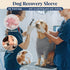 S Pet Front Leg Protective Sleeve  Elastic Dog Leg Guard for Post-Surgery Protection, Prevents Licking and Biting