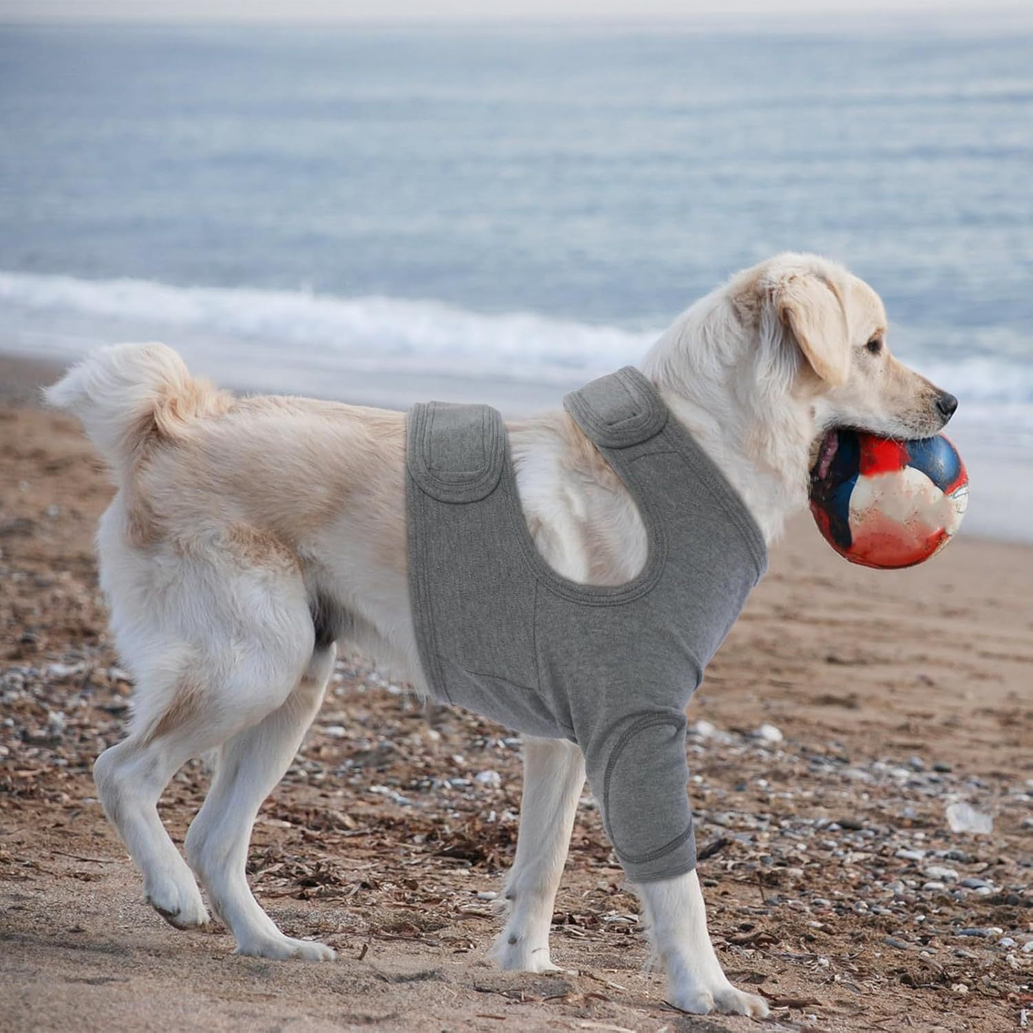 S Pet Front Leg Protective Sleeve  Elastic Dog Leg Guard for Post-Surgery Protection, Prevents Licking and Biting