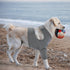 S Pet Front Leg Protective Sleeve  Elastic Dog Leg Guard for Post-Surgery Protection, Prevents Licking and Biting
