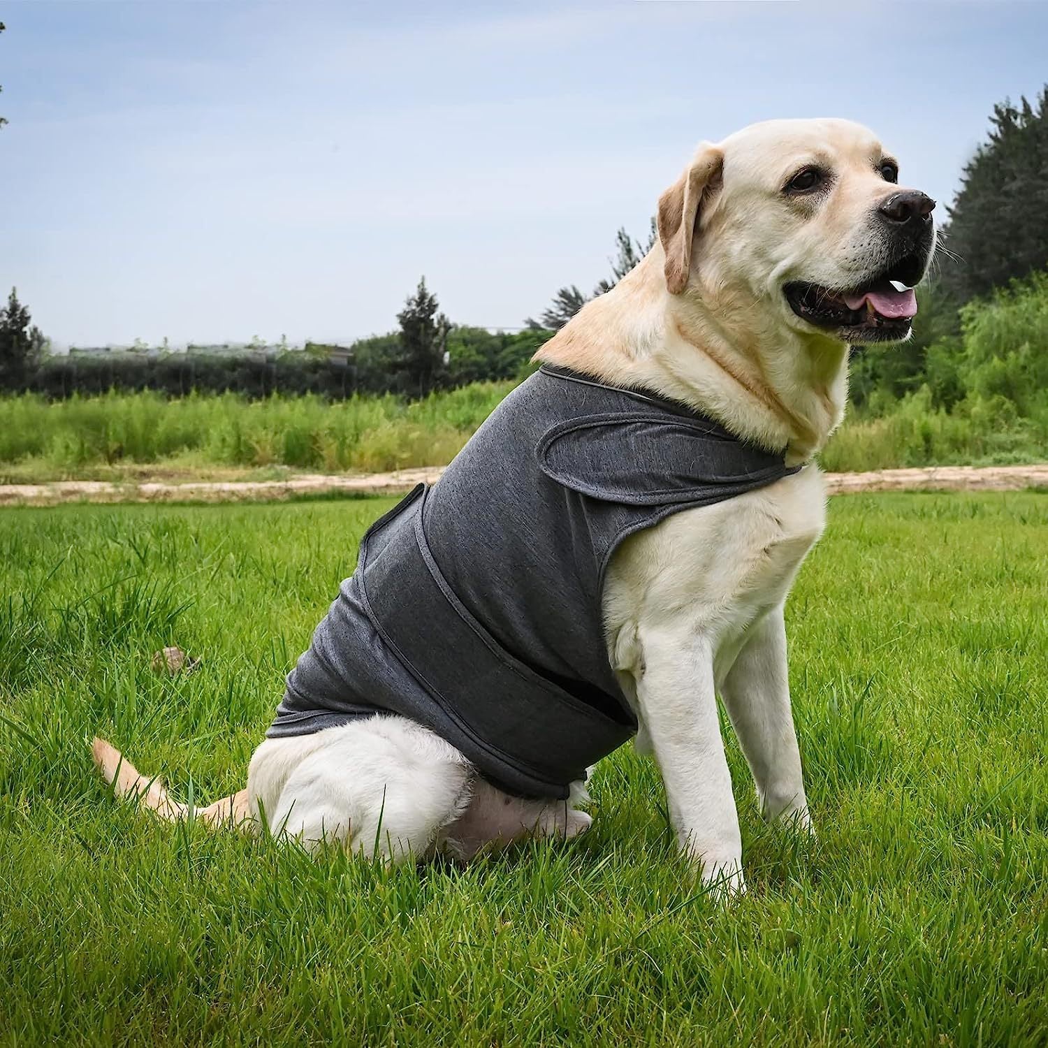 L Dog Vest Jacket - Warm, Soft, and Comfortable Dog Coat for Winter, Calming and Insulating Dog Apparel